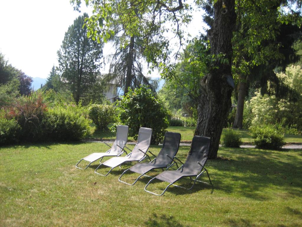 A garden outside Appartement Waldfriede