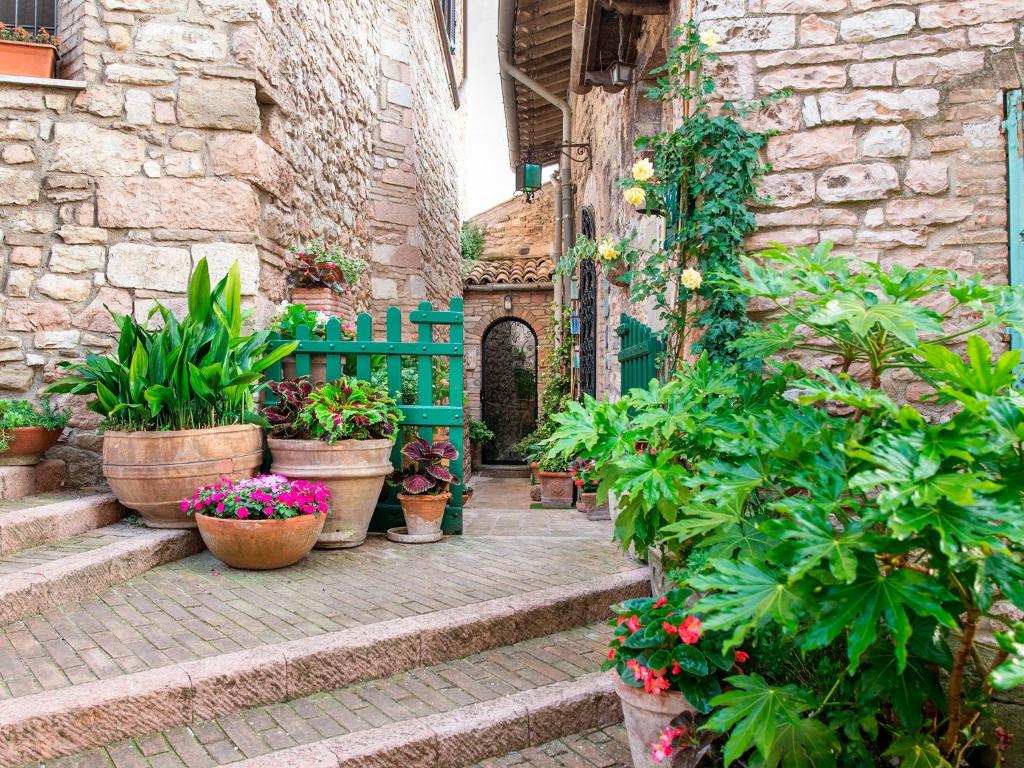 Zahrada ubytování La Viola di Assisi