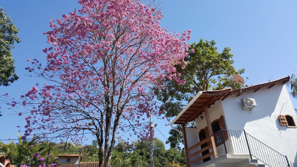  Suites Beija-Flor