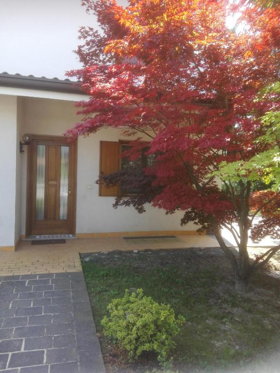 a tree with red leaves in front of a house at Affittacamere Nerio in Ronchi dei Legionari