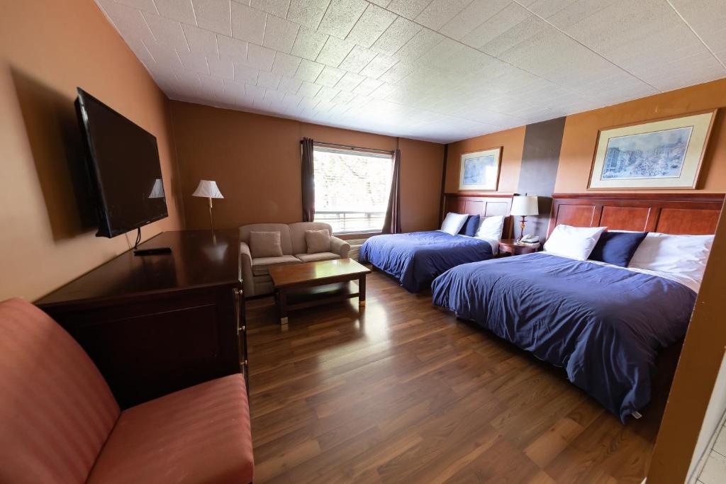 Villager Lodge Niagara Falls - Resim 22