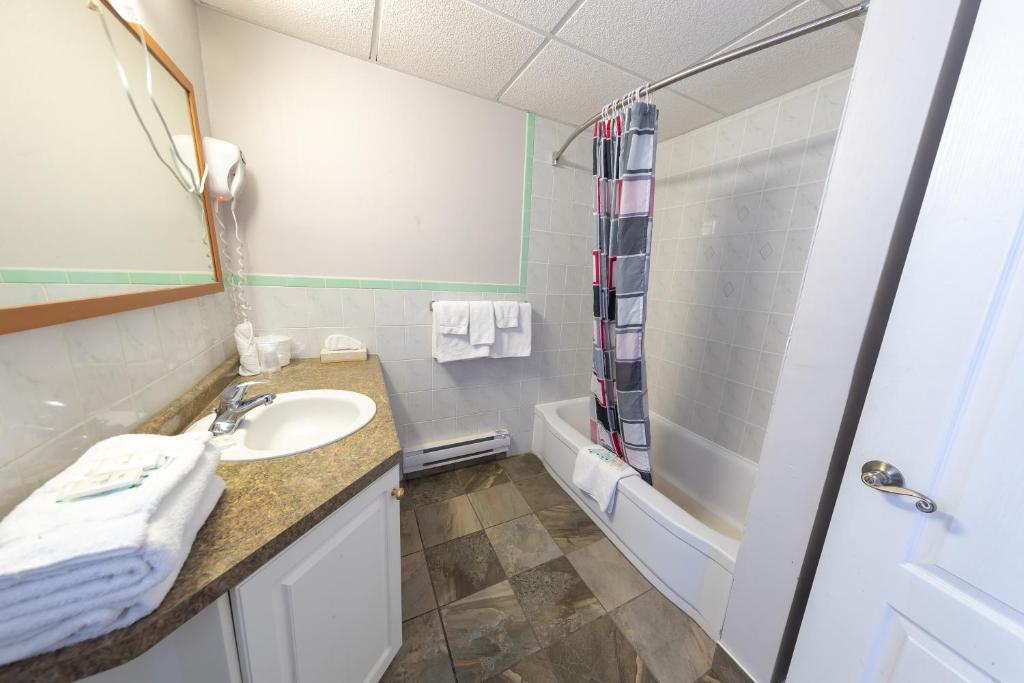 Villager Lodge Niagara Falls - Resim 15