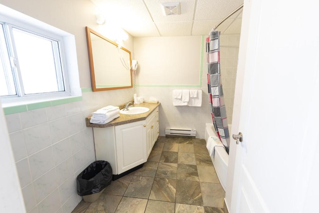 Villager Lodge Niagara Falls - Resim 14