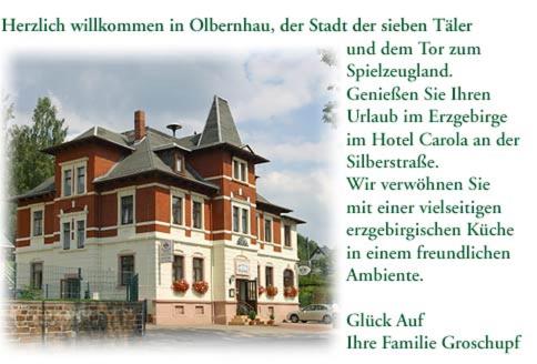 Fotografie z fotogalerie ubytování Hotel Carola v destinaci Olbernhau