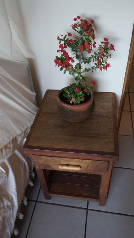 Foto dalla galleria di Casa Aditi a Mazunte