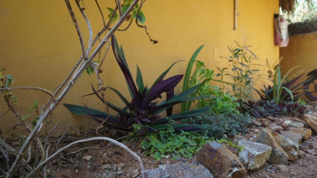 Giardino di Casa Aditi