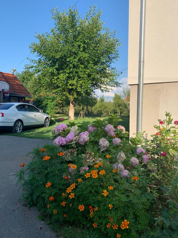 un giardino fiorito di fronte a un edificio con auto di Apartman MAURO a Rakovica