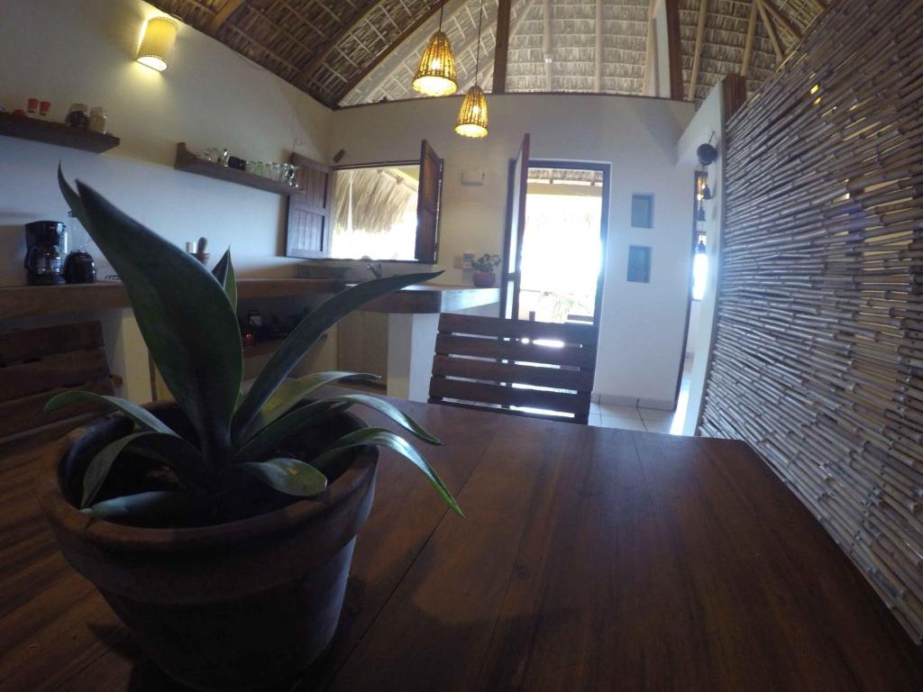 Foto dalla galleria di Casa Aditi a Mazunte