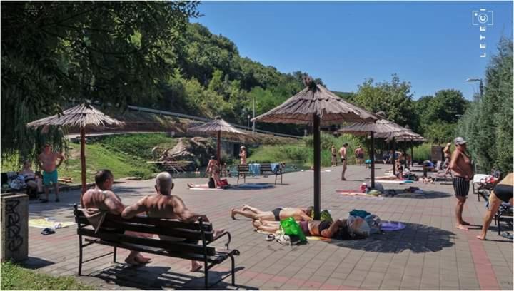 Hosté ubytování Privatan smestaj knjazevac
