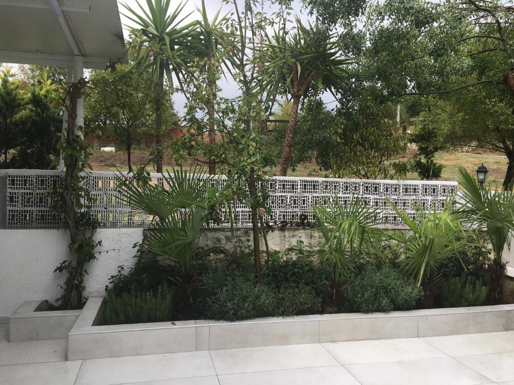 PASHA APART~BOUTİQUE HOTEL/YALOVA - Appartamento - Piano Terra