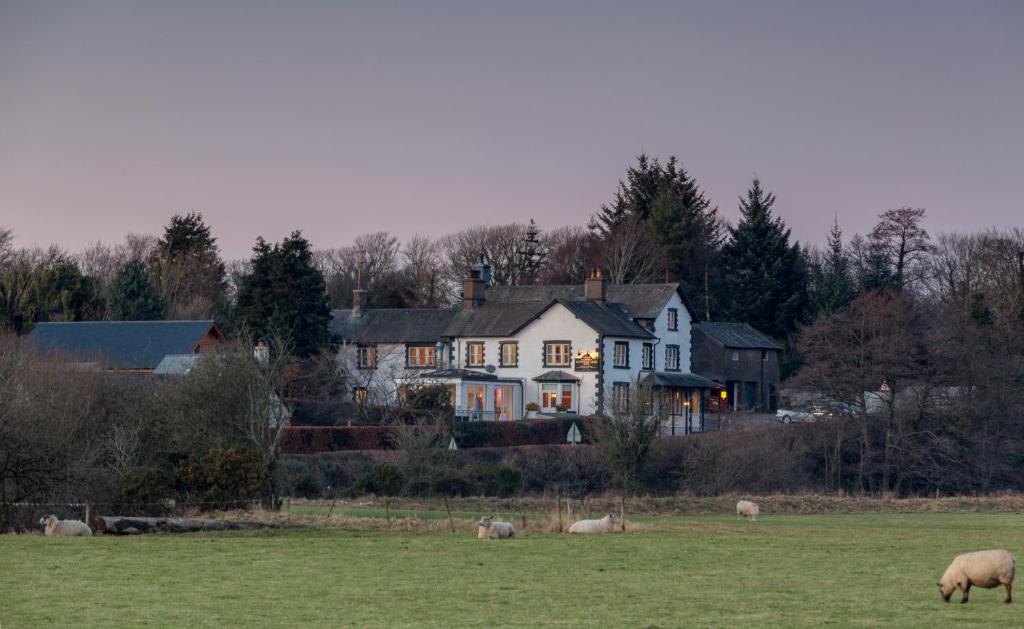 a large white house with sheep grazing in a field at Lutwidge Arms in Holmrook