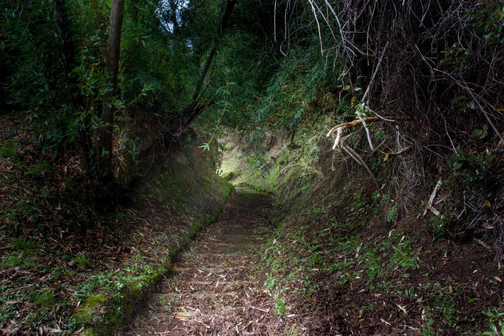 Bordemundo B&B y Cabañas