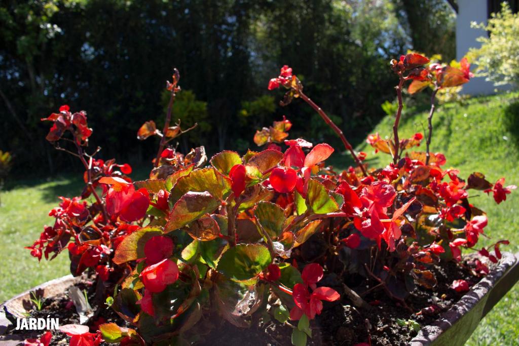 Guatapé Country House Hotel photo