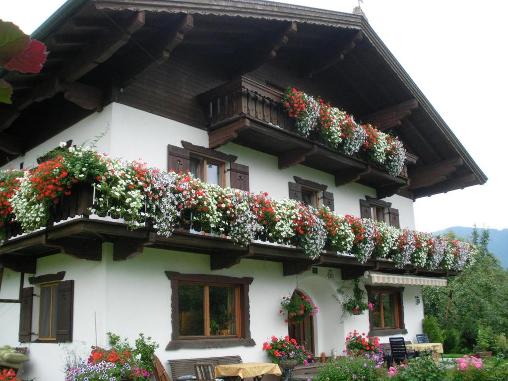 The building in which Az apartmant is located