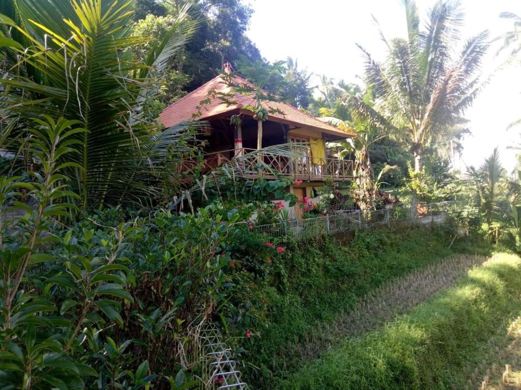 una casa al lado de una colina en Babahan Farmstay, en Tabanan