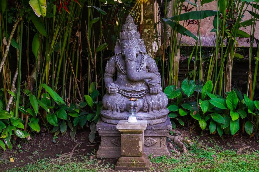 Zahrada ubytování The Allure Ubud Villas