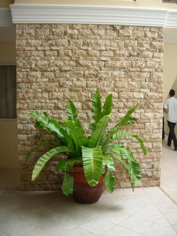 The Suites at Calle Nueva photo