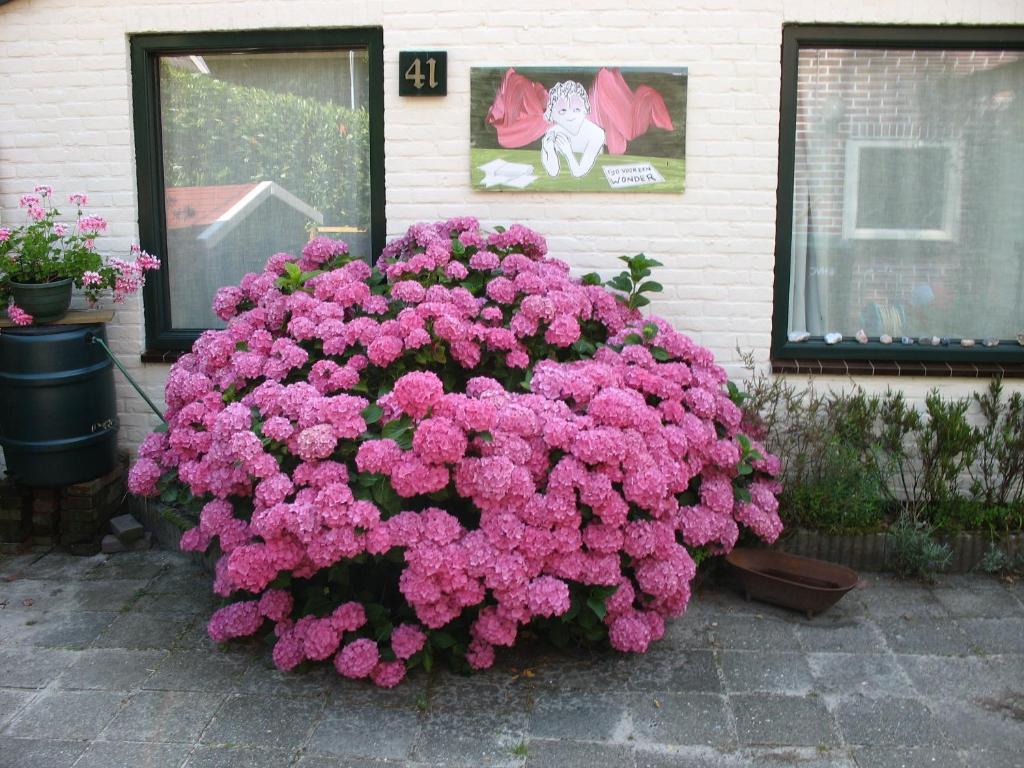Zahrada ubytování holiday cottage 'FLOW'