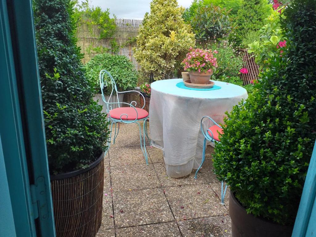 a table with two chairs and a pot of flowers on it at Riverside Home Cottage in Trèbes