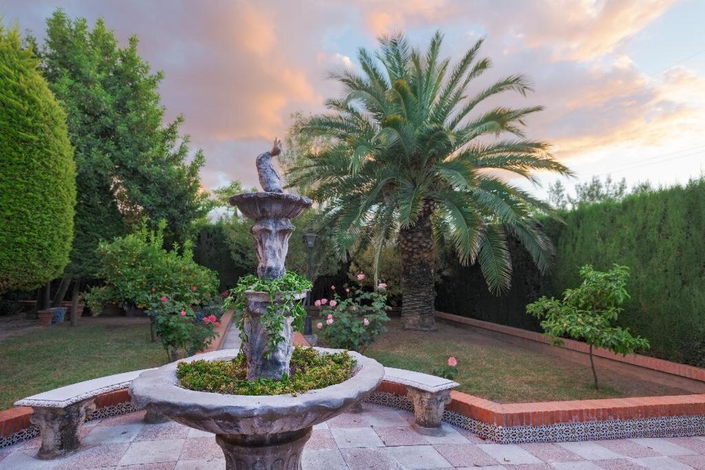 Fotografia z galérie ubytovania NEW. LUXURY VILLA C&C. JARDÍN, PISCINA Y BARBACOA v destinácii Granada