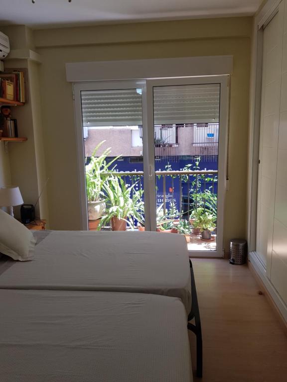 バレンシアにあるHabitación privada a 1500 metros de la playaのベッドルーム1室(ベッド1台付)、植物のある窓が備わります。