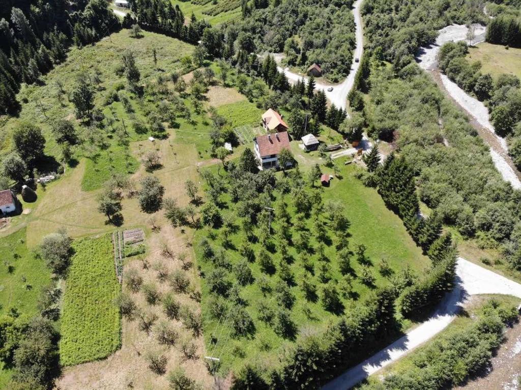 Příroda nedaleko apartmánu