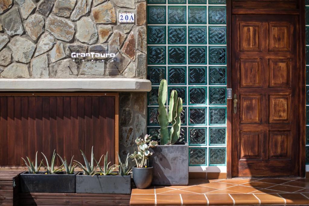 a cactus in a pot in front of a building at GranTauro Casa in La Playa de Tauro