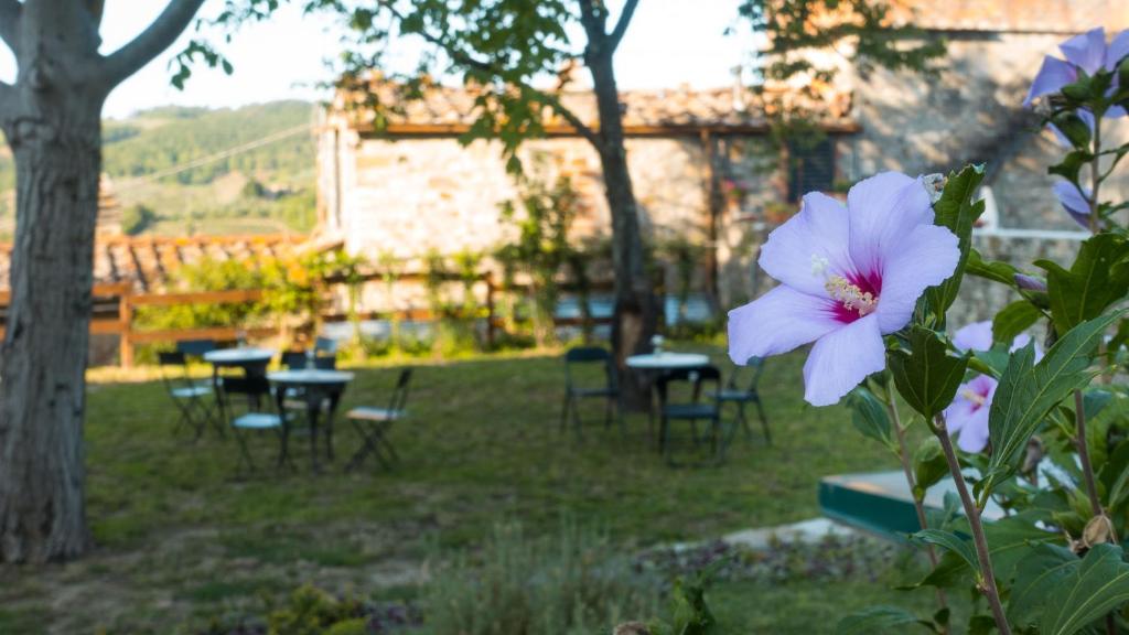 Κήπος έξω από το Torre nel Chianti