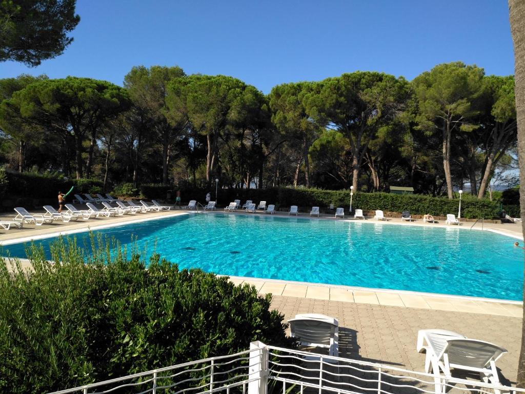 une grande piscine avec des chaises et des arbres dans l'établissement studio St Raphaël var côte d azur, à Saint-Raphaël