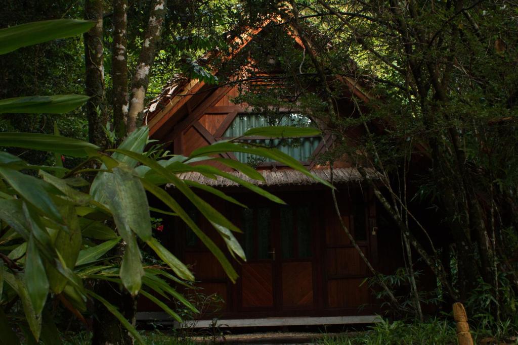 a cabin in the middle of a forest with trees at Les Acacias Bungalows in Manambato