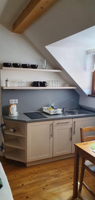 Kuchyň nebo kuchyňský kout v ubytování Penzion Dolní Dunajovice