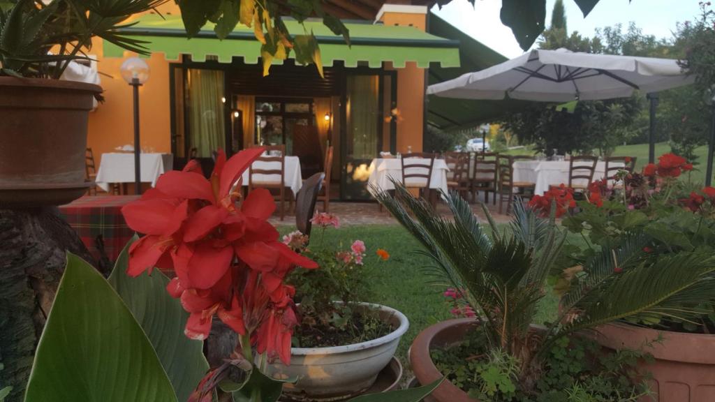 un jardín con flores rojas en una olla en Country House Bucaneve, en Rovolon