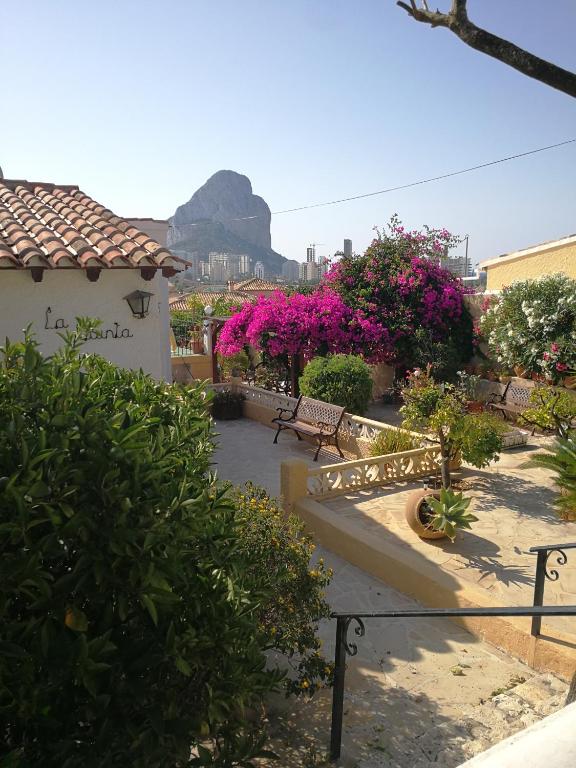 Nespecifikovaný výhled na hory nebo výhled na hory při pohledu z bed and breakfast