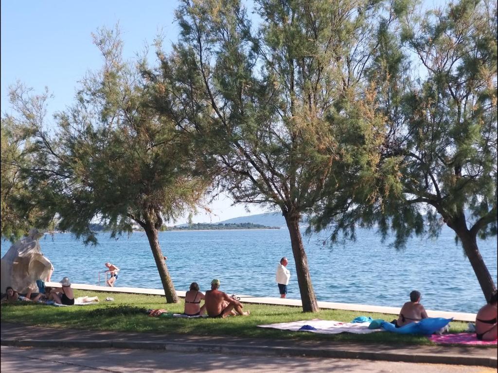 a group of people sitting on the grass by the water at Apartman Joso in Diklo