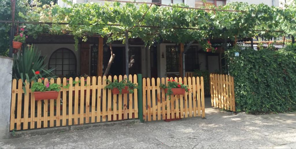 クラネヴォにあるGuest House Astraの鉢植えの木塀