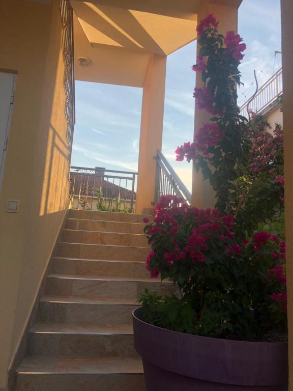 Vonkajšia záhrada v ubytovaní I.K. APARTMENTS