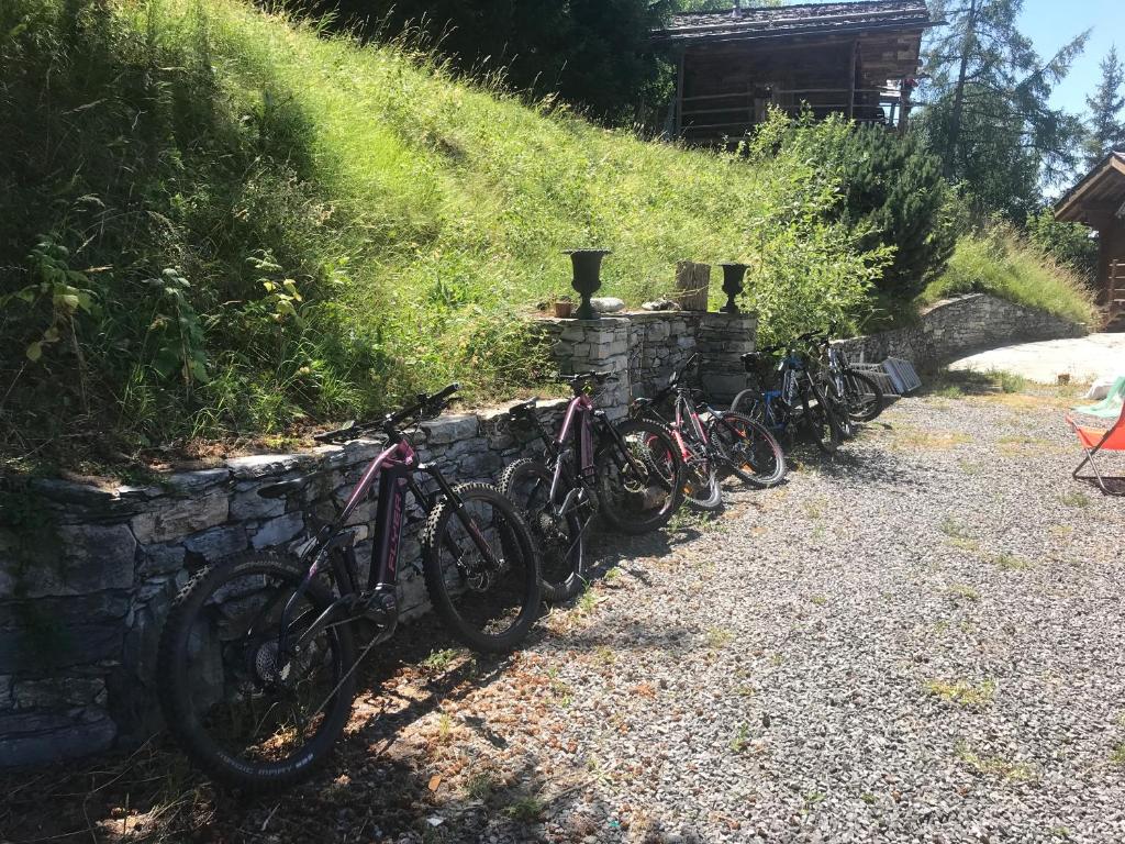 Andar de bicicleta em Les Mazots de la Source & Spa ou nos arredores