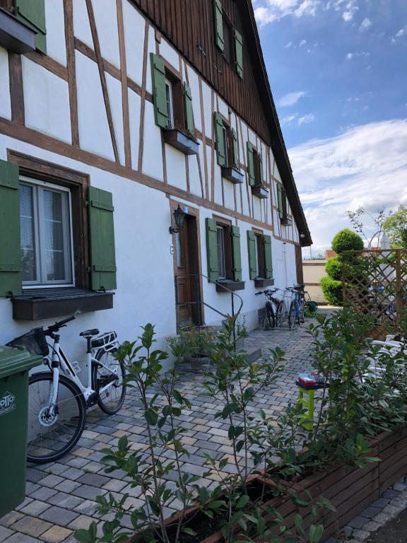 Cozy apartment close to Zurich Airport and City - 两居室公寓