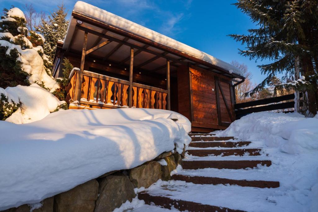 uma escada coberta de neve que leva a uma cabina em Domek u Basi em Muszyna