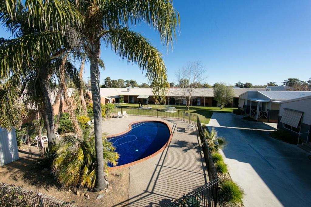 einen Blick über einen Pool mit Palmen in der Unterkunft Ashleigh Court Motor Inn in Mulwala