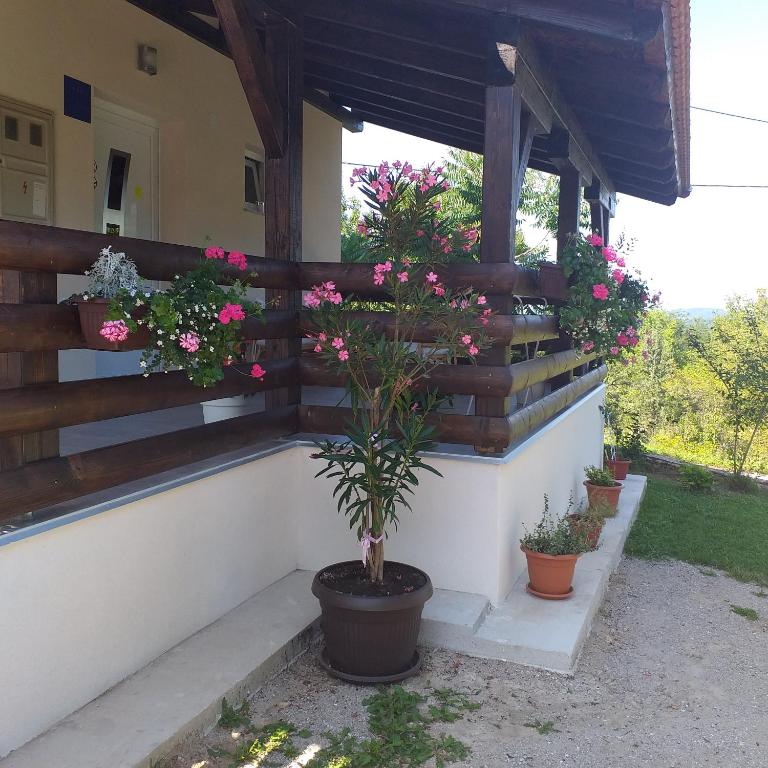 Vonkajšia záhrada v ubytovaní Guest House Happy day