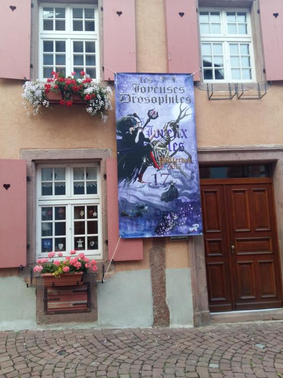 La Maison des Tanneurs – photo 34