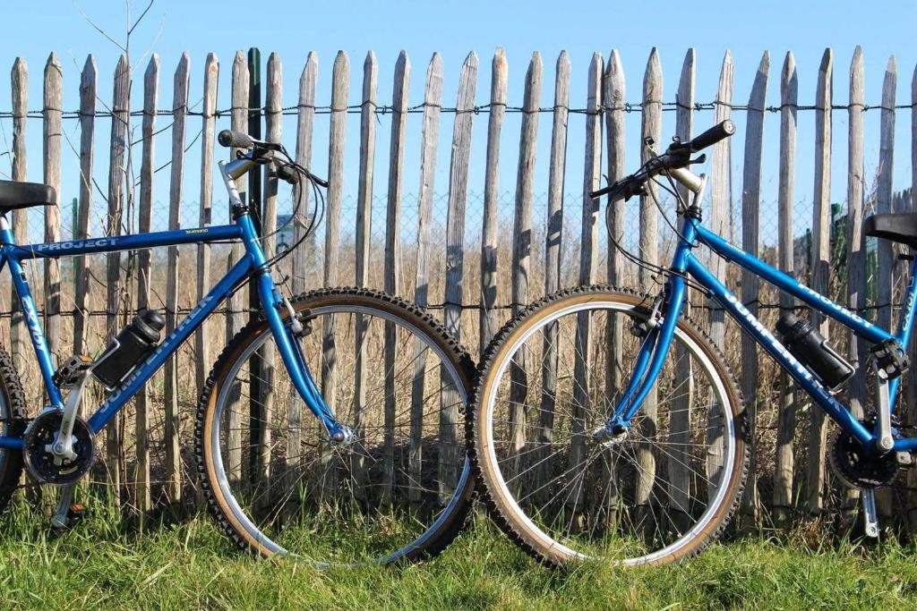 due bici blu parcheggiate accanto a una recinzione di L'écoutille a Dieppe