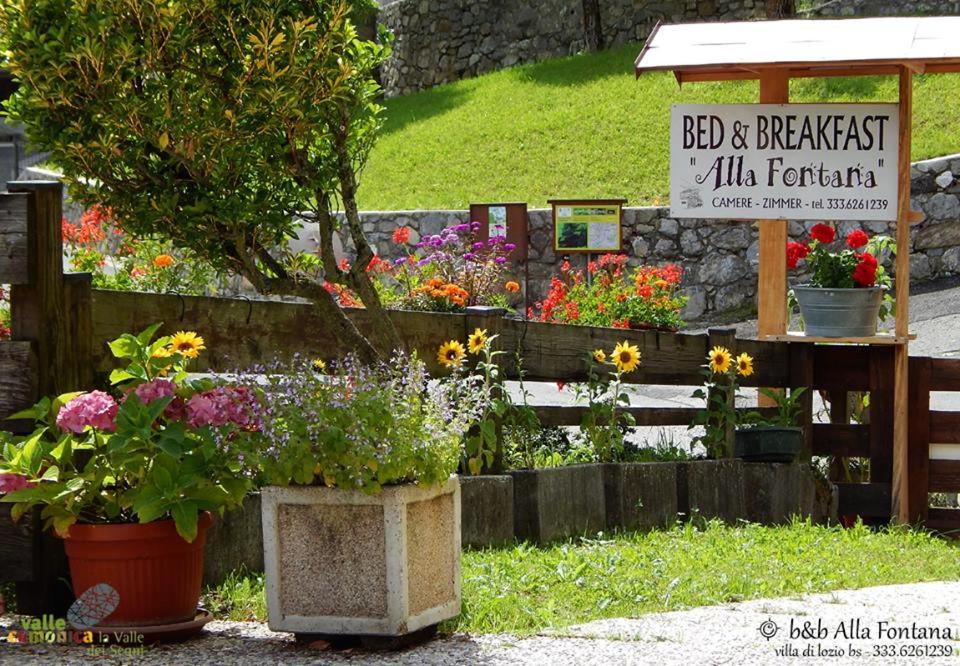 Zahrada ubytování B&B Alla Fontana