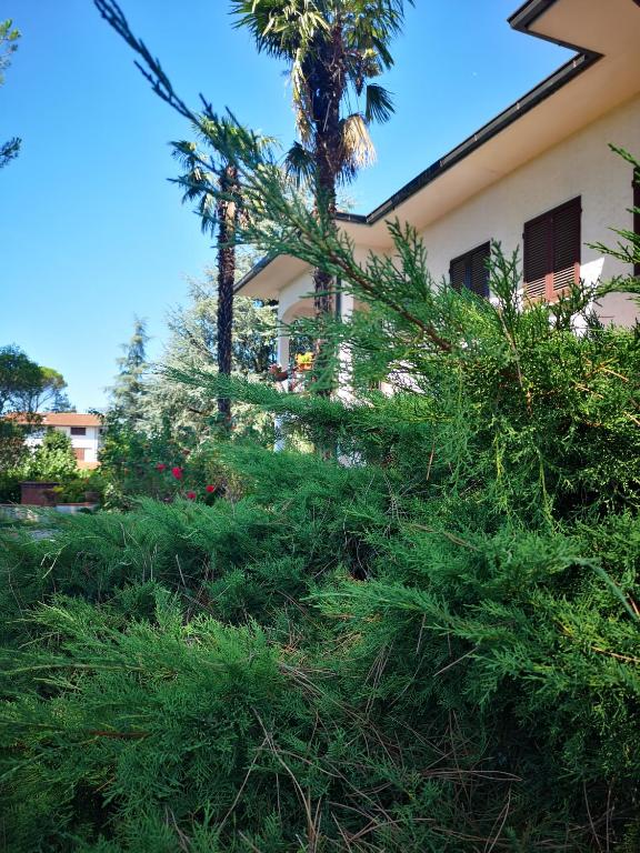 Vonkajšia záhrada v ubytovaní Villa Artemisia