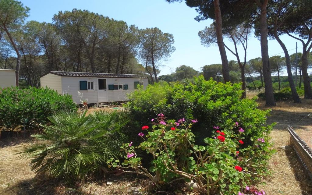 Zahrada ubytování Villaggio Camping Nurral