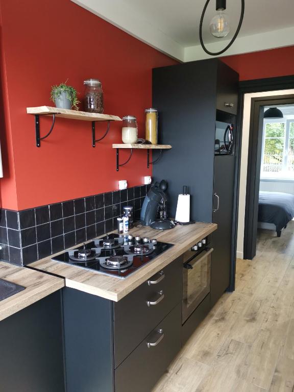 - une cuisine avec une cuisinière et un mur rouge dans l'établissement Face aux remparts, à Boulogne-sur-Mer