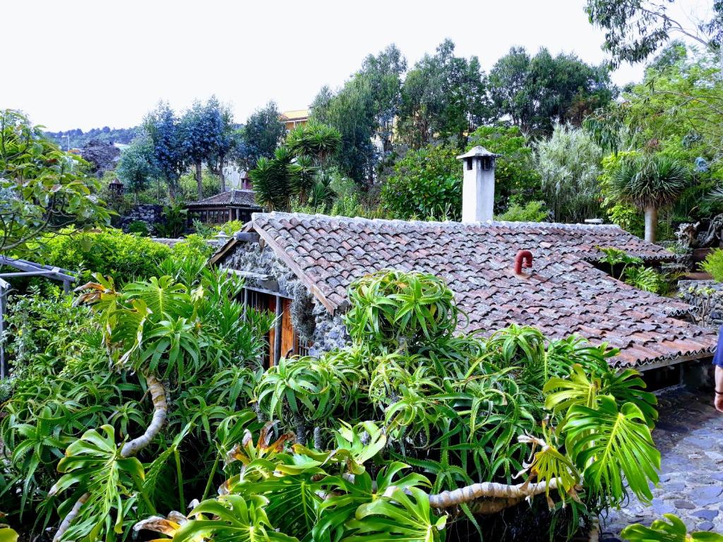 Zahrada ubytování Finca El Lance