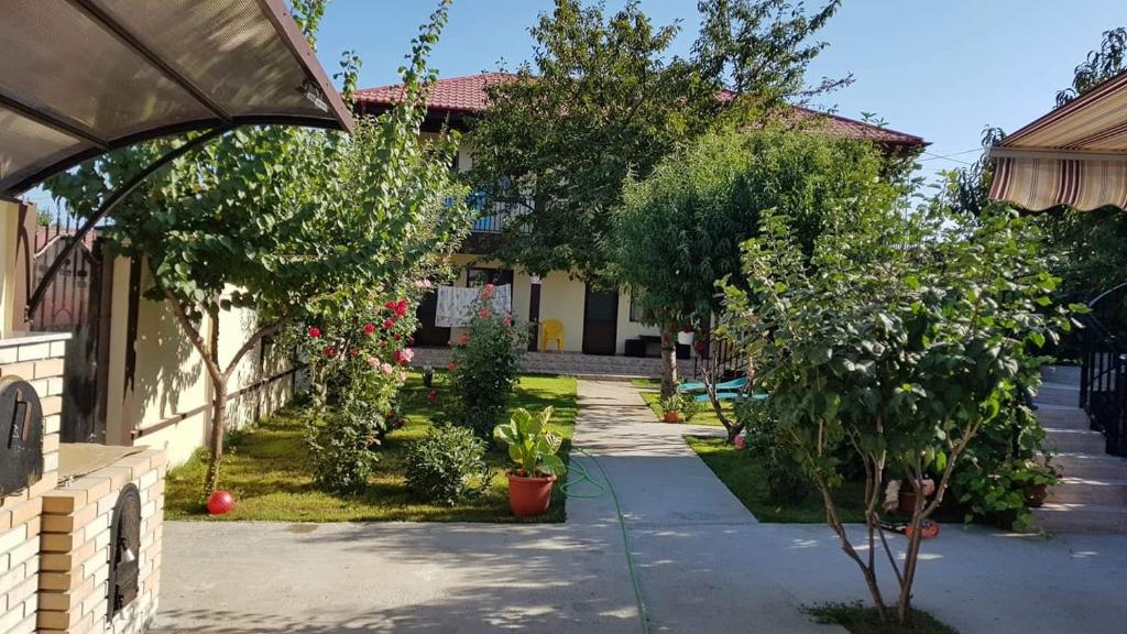 a garden with trees and plants in front of a building at Casa Lucas si Rafael in 2 Mai
