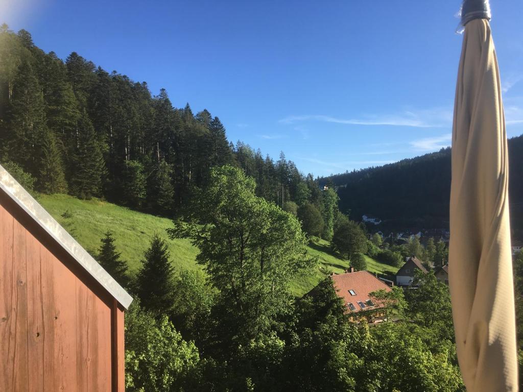 a view of a hill with trees and a house at Zum Schwalbennest in Todtmoos